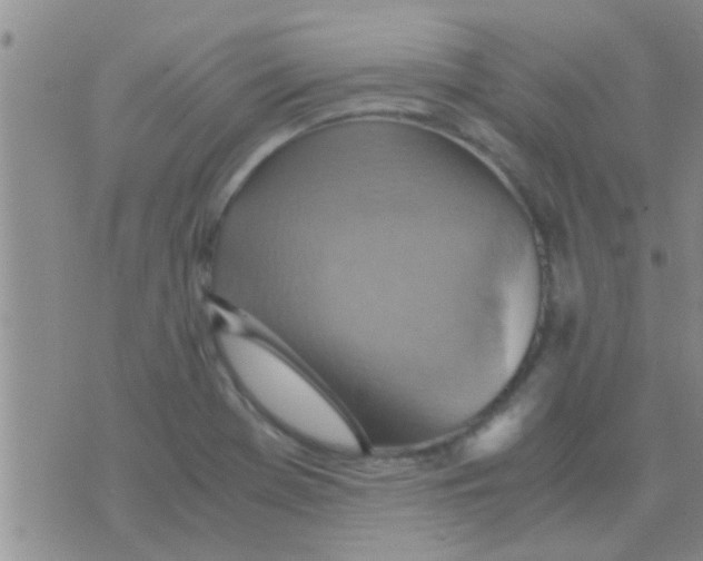 X0000075891369200610151740