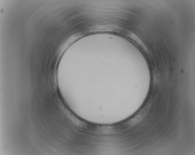 X0000075891370200610151740