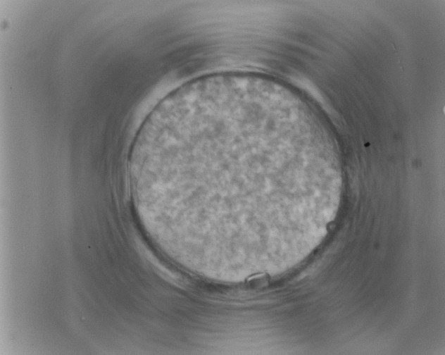 X0000075891371200610151740