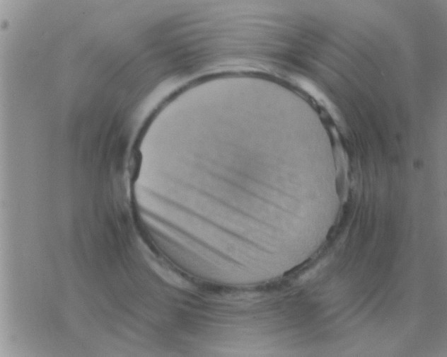 X0000075891372200610151740