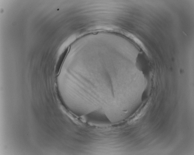 X0000075891373200610151740