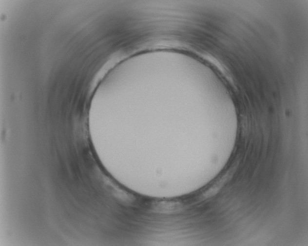 X0000075891374200610151740