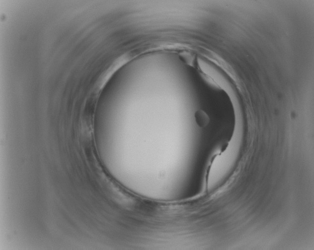 X0000075891377200610151740