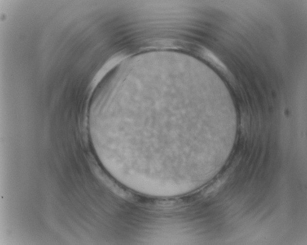 X0000075891378200610151740