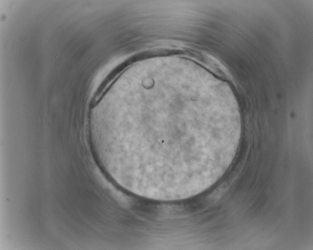 X0000075891379200610151740