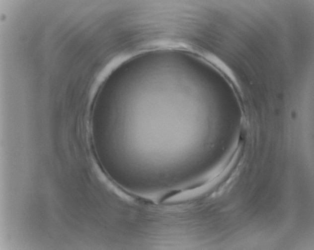 X0000075891381200610151740