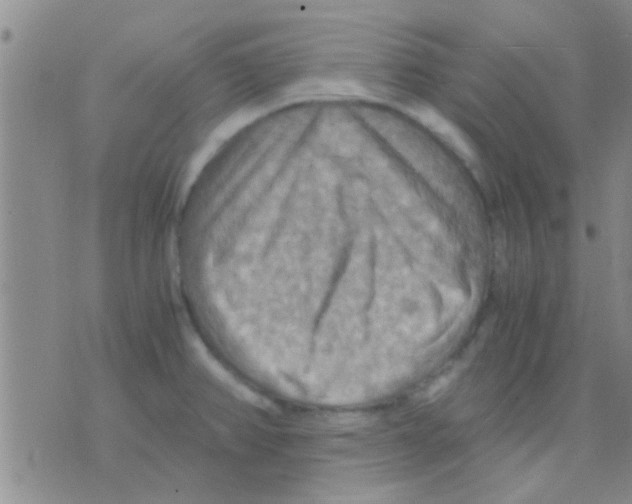 X0000075891382200610151740