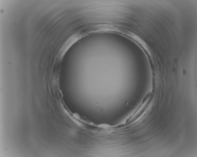 X0000075891385200610151740