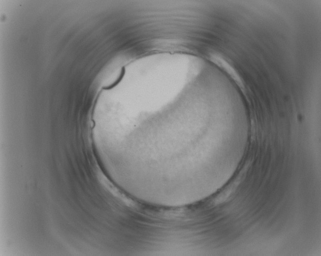 X0000075891386200610151740