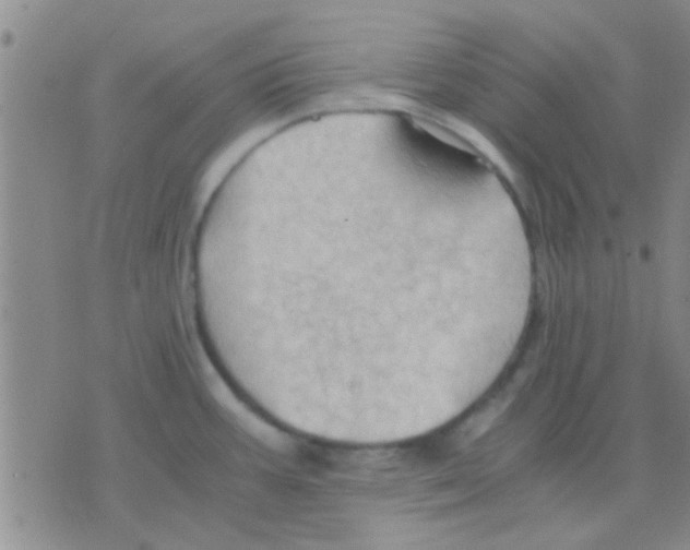 X0000075891387200610151740