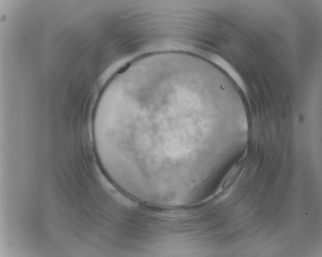 X0000075891388200610151740