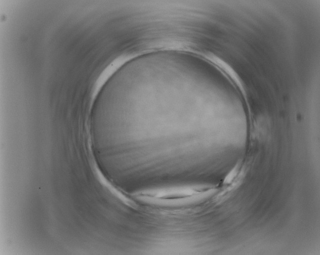 X0000075891389200610151740