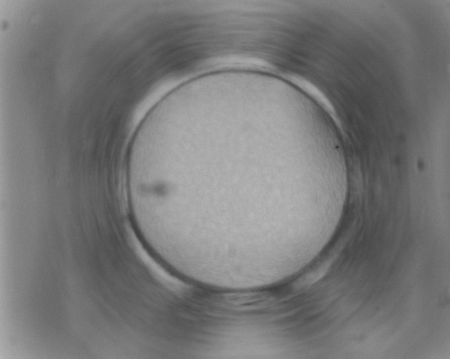 X0000075891391200610151740