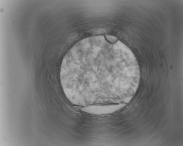 X0000075891393200610151739