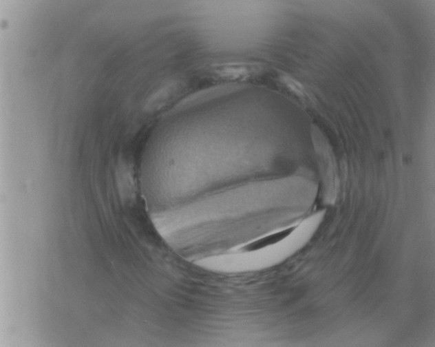 X0000075891394200610151739