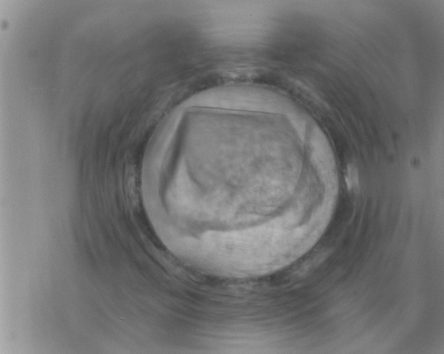 X0000075891396200610151739