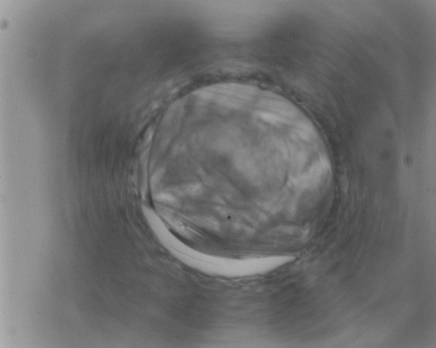 X0000075891397200610151739