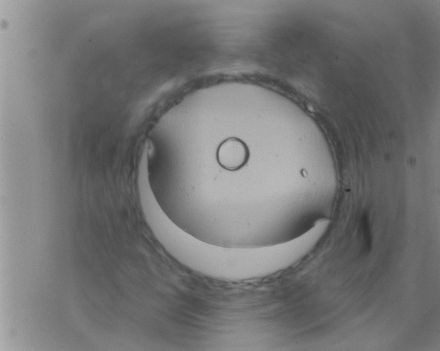 X0000075891398200610151739