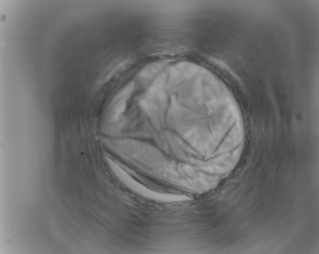 X0000075891399200610151739