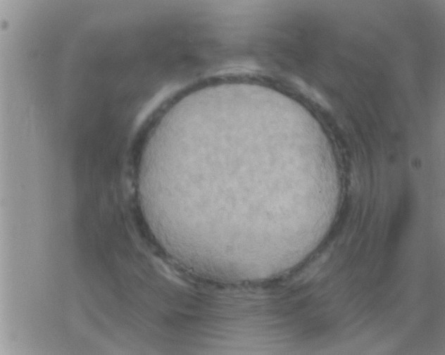 X0000075891400200610151739