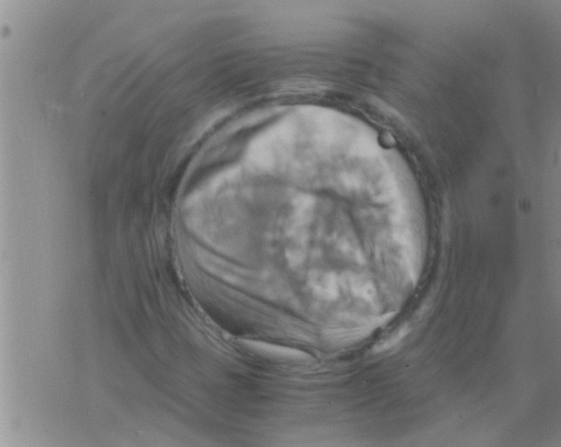 X0000075891401200610151739