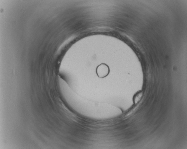 X0000075891402200610151739