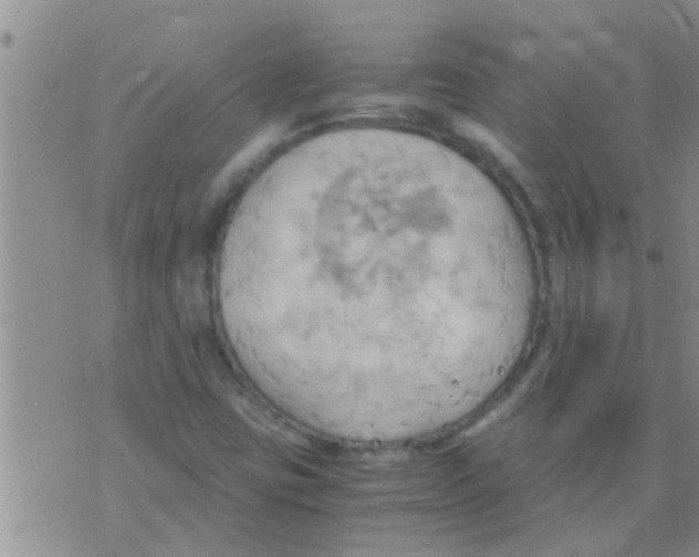 X0000075891403200610151739