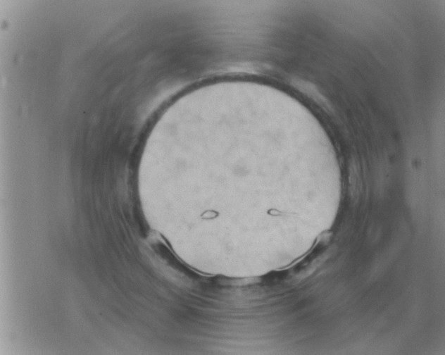 X0000075891404200610151739