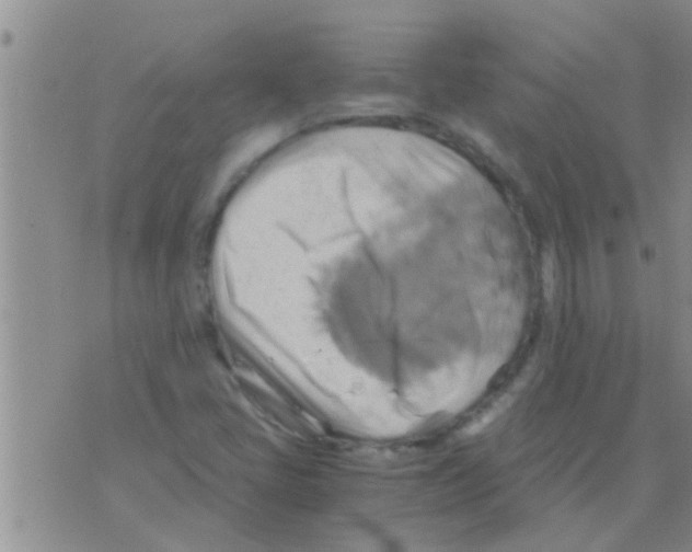 X0000075891405200610151739