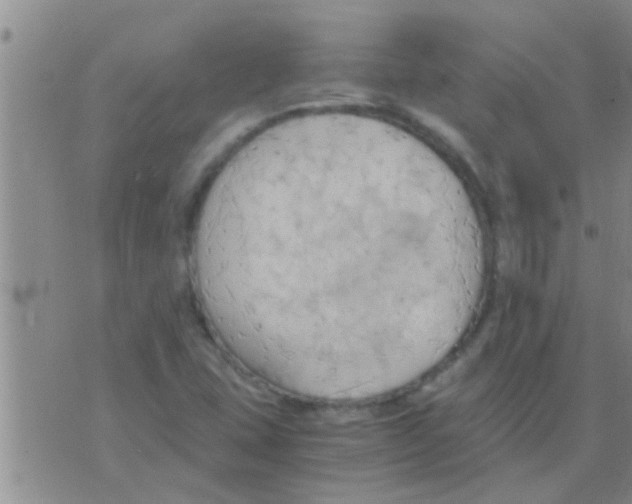 X0000075891407200610151739