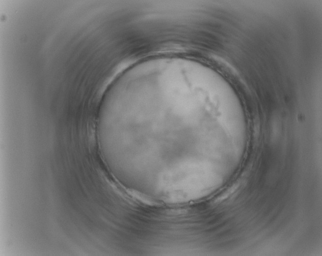 X0000075891409200610151739