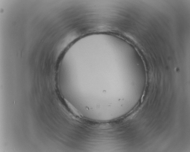 X0000075891410200610151739