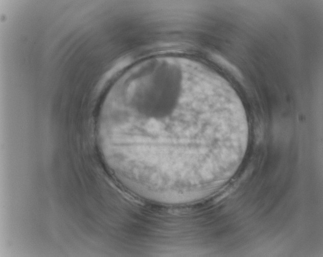 X0000075891411200610151740