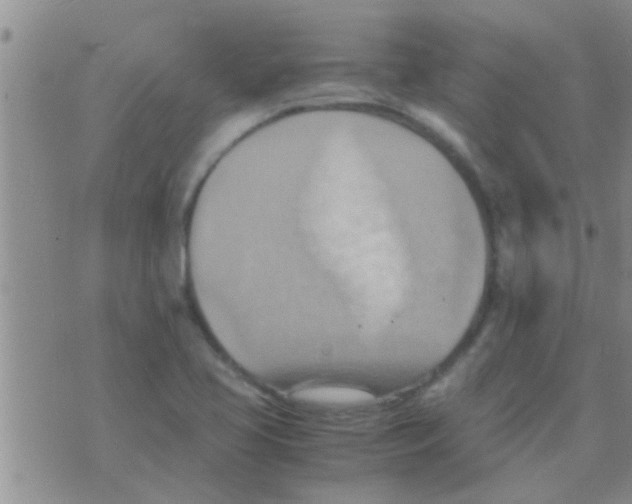 X0000075891413200610151740