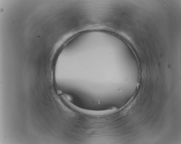 X0000075891414200610151740