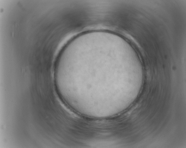 X0000075891416200610151740