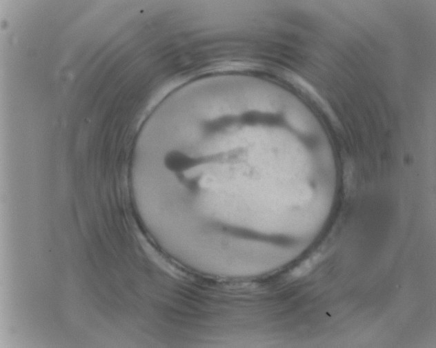 X0000075891417200610151740