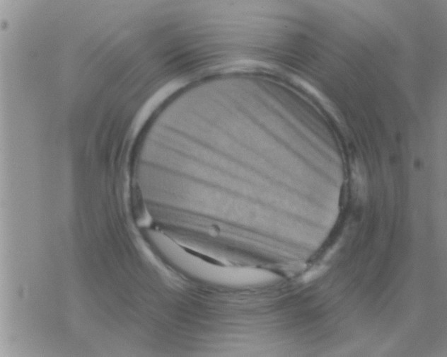 X0000075891418200610151740