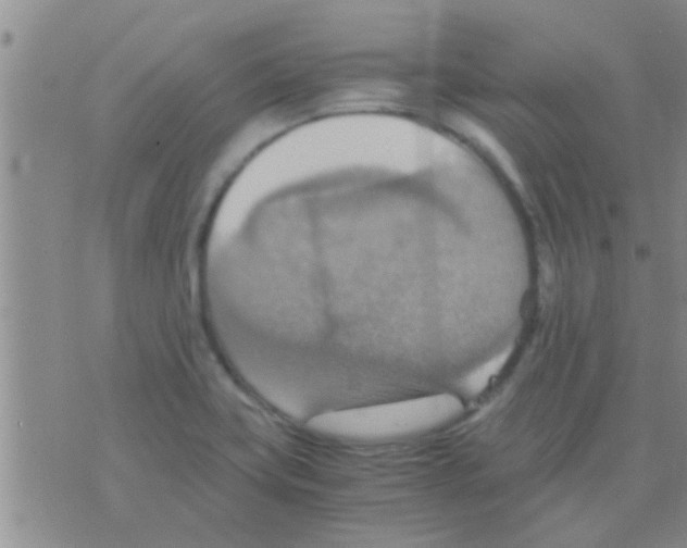 X0000075891419200610151740