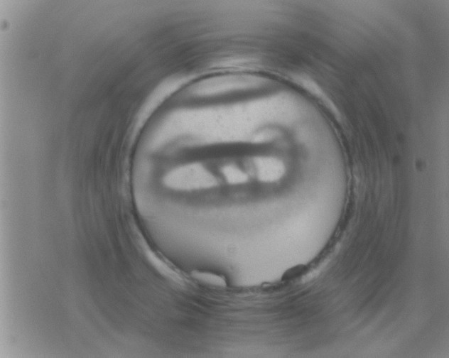 X0000075891421200610151740