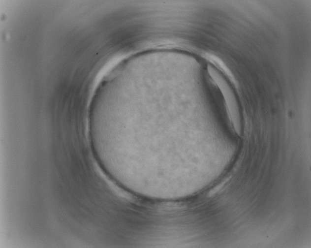 X0000075891424200610151740