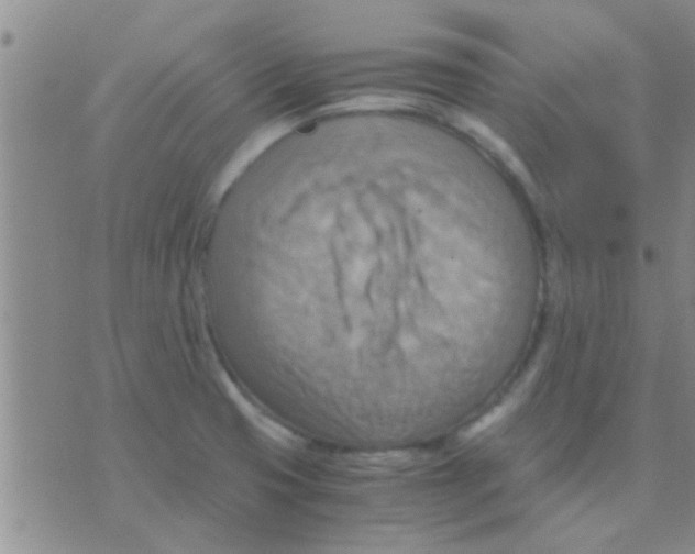 X0000075891425200610151740