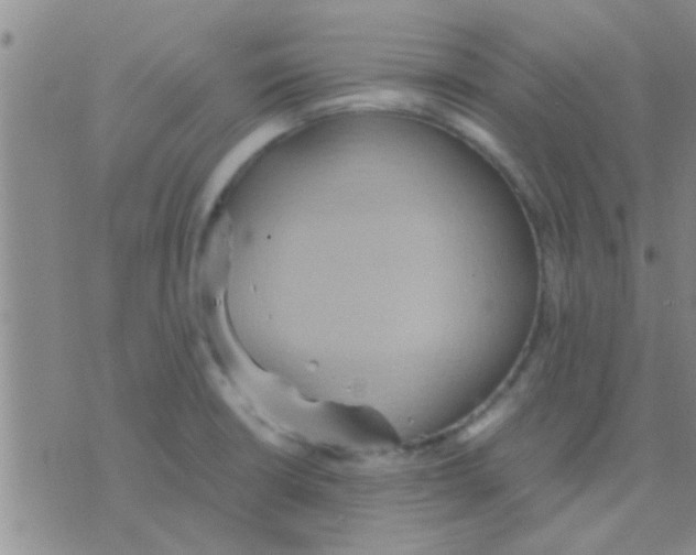 X0000075891426200610151740