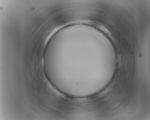 X0000075891428200610151740