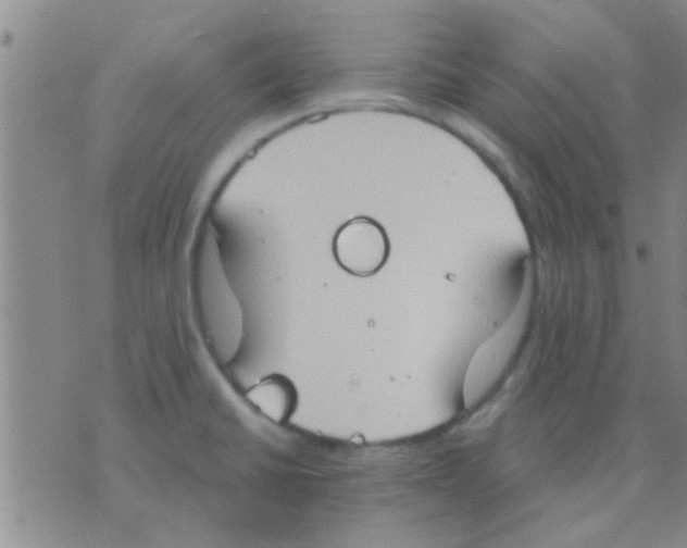 X0000075891430200610151740