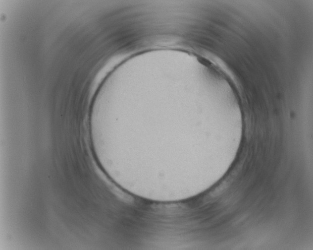 X0000075891432200610151740