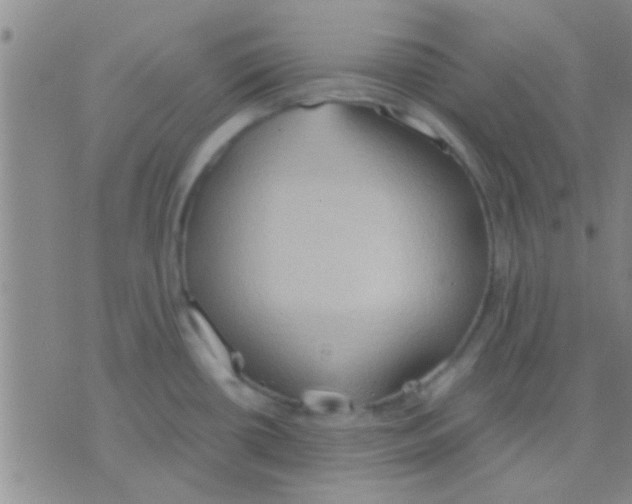 X0000075891434200610151740