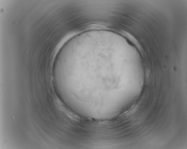 X0000075891435200610151740