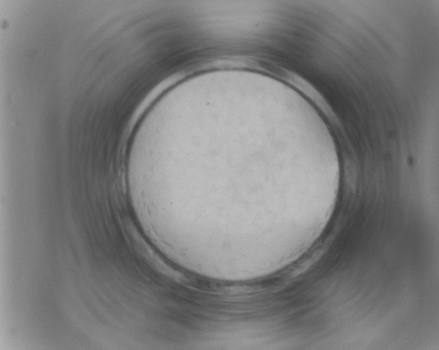 X0000075891436200610151740