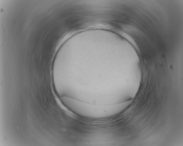 X0000075891439200610151740